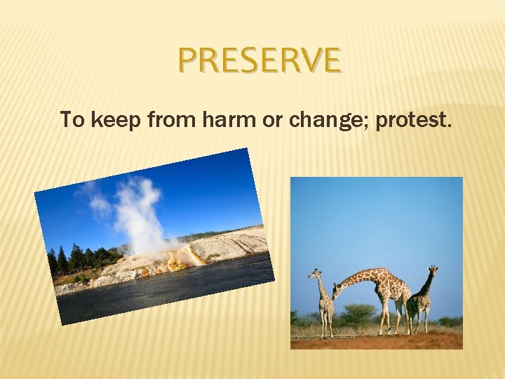 PRESERVE To keep from harm or change; protest. 