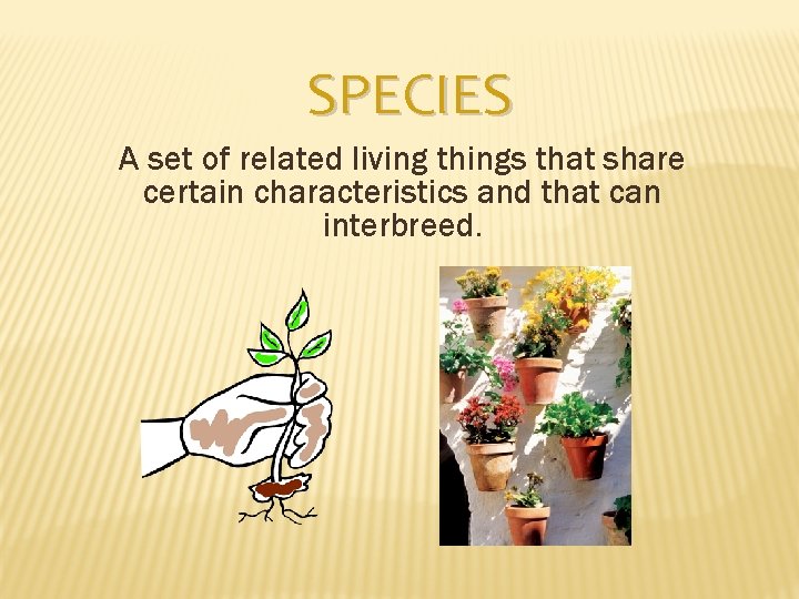 SPECIES A set of related living things that share certain characteristics and that can
