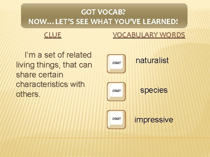 GOT VOCAB? NOW…LET’S SEE WHAT YOU’VE LEARNED! CLUE I’m a set of related living