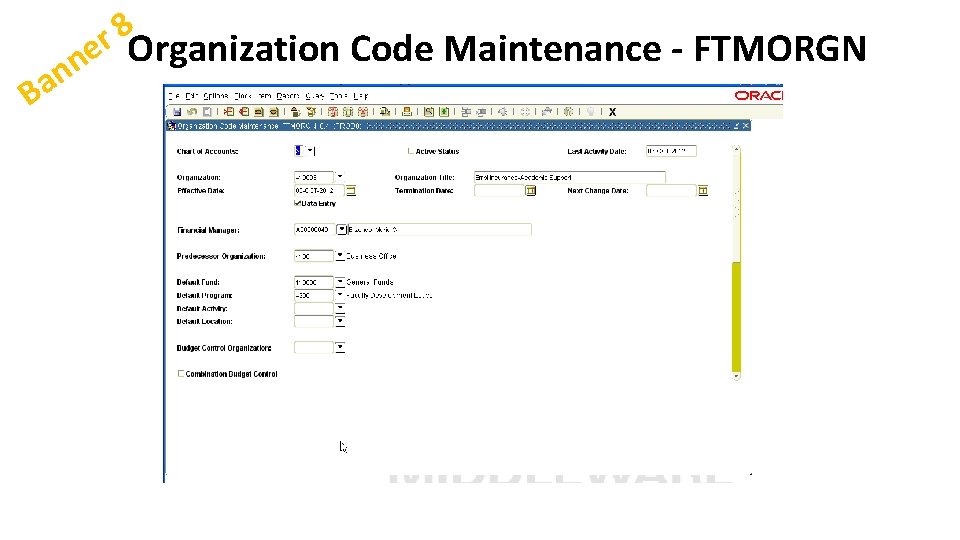 n a B 8 r ne Organization Code Maintenance - FTMORGN 