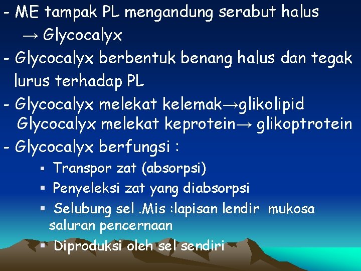 - ME tampak PL mengandung serabut halus → Glycocalyx - Glycocalyx berbentuk benang halus