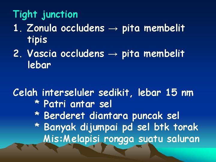 Tight junction 1. Zonula occludens → pita membelit tipis 2. Vascia occludens → pita