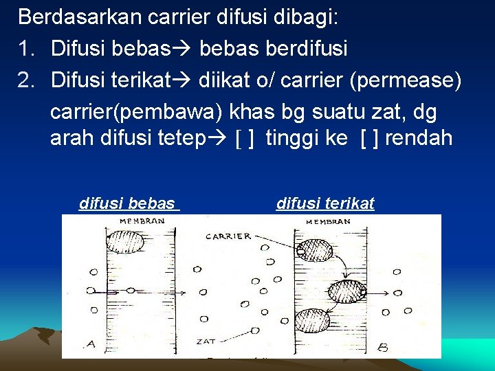 Berdasarkan carrier difusi dibagi: 1. Difusi bebas berdifusi 2. Difusi terikat diikat o/ carrier