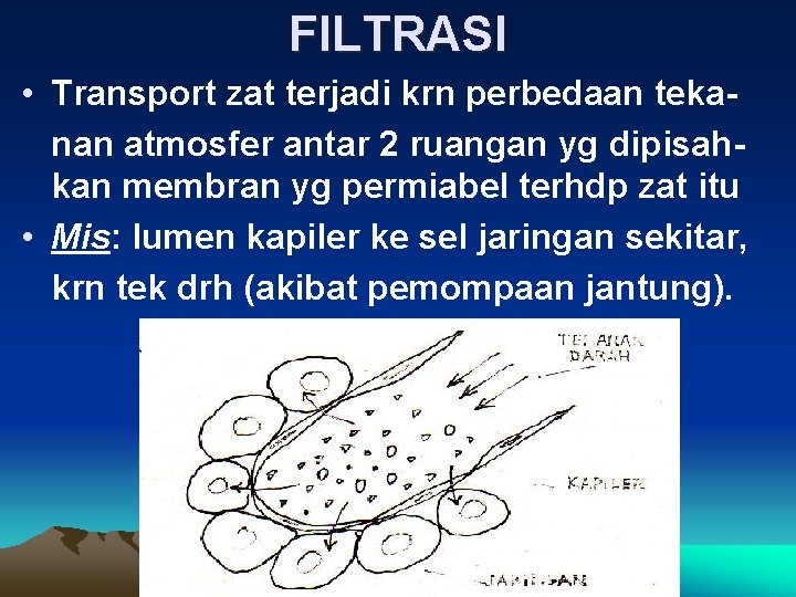 FILTRASI • Transport zat terjadi krn perbedaan tekanan atmosfer antar 2 ruangan yg dipisahkan