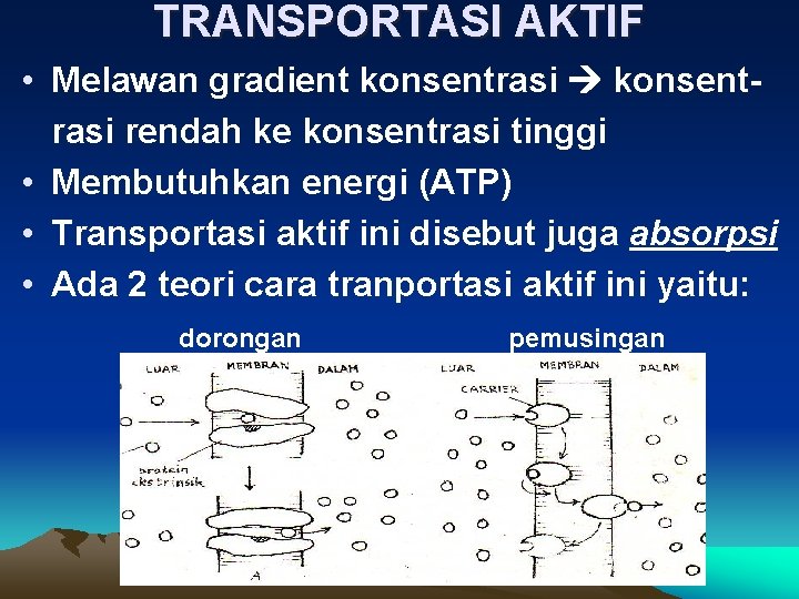 TRANSPORTASI AKTIF • Melawan gradient konsentrasi rendah ke konsentrasi tinggi • Membutuhkan energi (ATP)