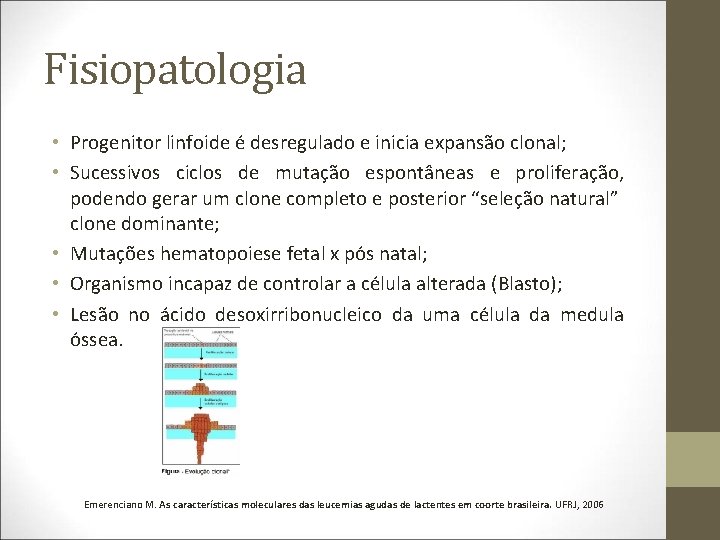 Fisiopatologia • Progenitor linfoide é desregulado e inicia expansão clonal; • Sucessivos ciclos de