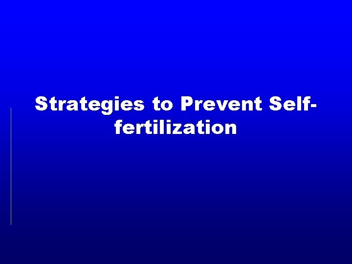 Strategies to Prevent Selffertilization 