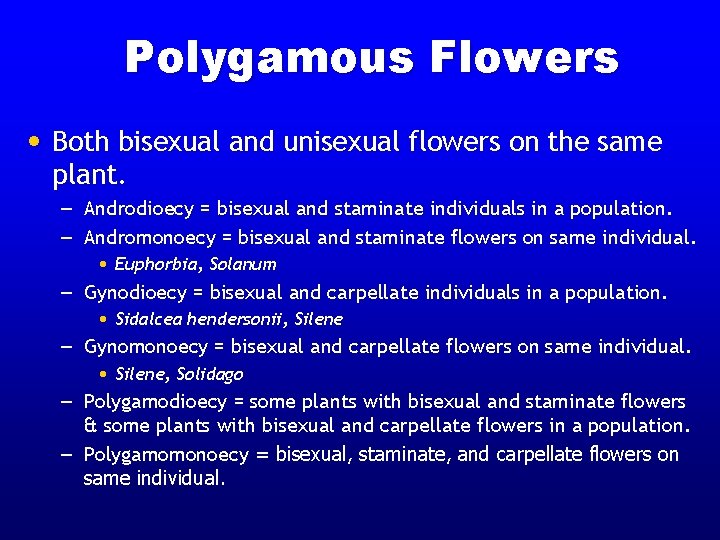 Polygamous Flowers • Both bisexual and unisexual flowers on the same plant. – Androdioecy