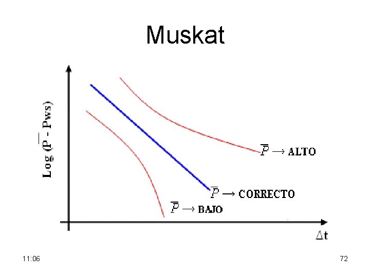 Muskat 11: 06 72 