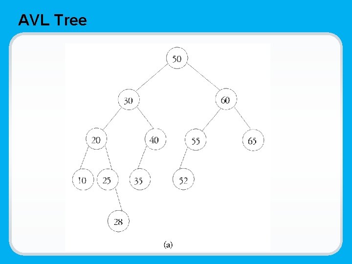 AVL Tree 