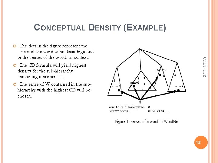 CONCEPTUAL DENSITY (EXAMPLE) The dots in the figure represent the senses of the word
