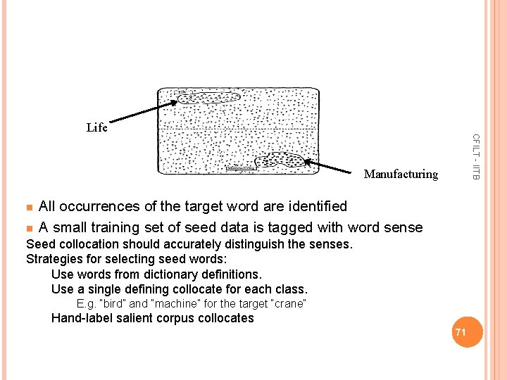 CFILT - IITB Life Manufacturing n n All occurrences of the target word are