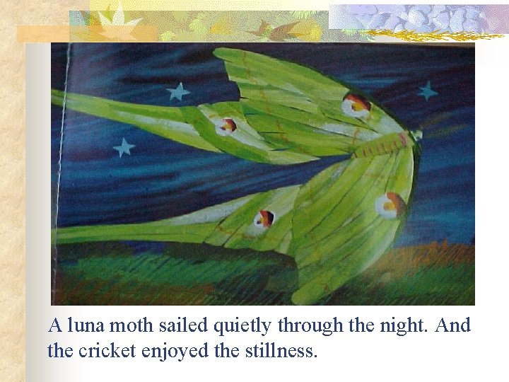A luna moth sailed quietly through the night. And the cricket enjoyed the stillness.
