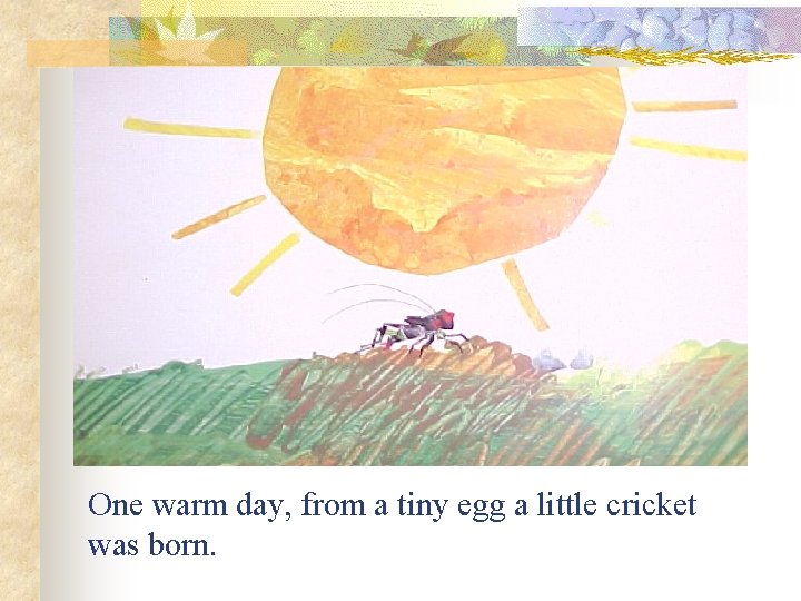 One warm day, from a tiny egg a little cricket was born. 