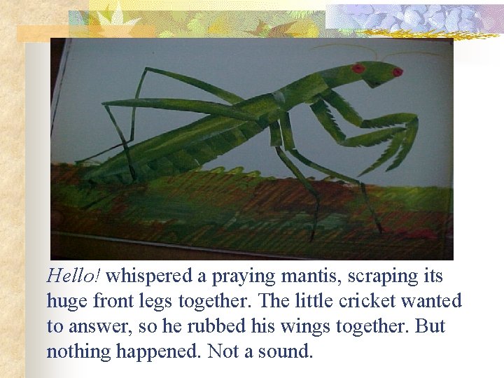 Hello! whispered a praying mantis, scraping its huge front legs together. The little cricket