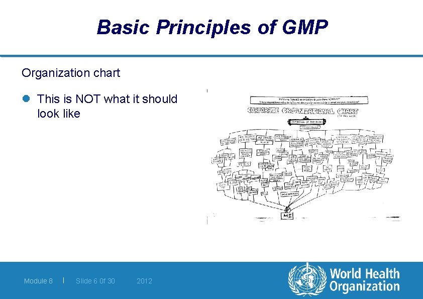 Basic Principles of GMP Organization chart l This is NOT what it should look