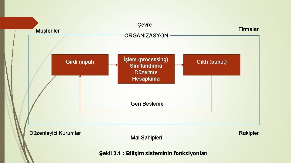 Çevre Müşteriler Firmalar ORGANİZASYON Girdi (input) İşlem (processing) Sınıflandırma Düzeltme Hesaplama Çıktı (ouput) Geri