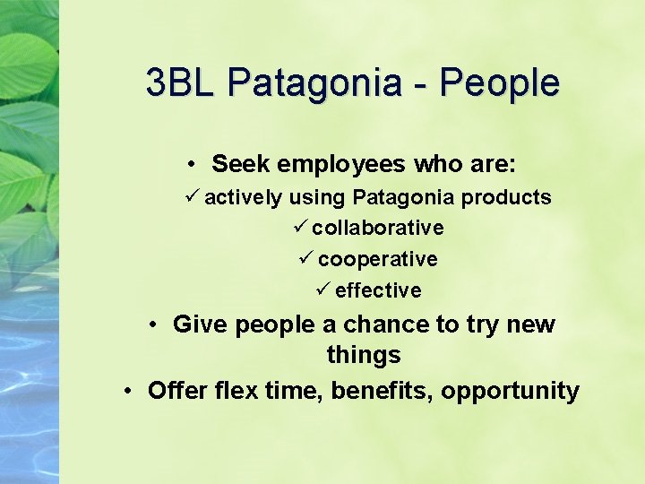 3 BL Patagonia - People • Seek employees who are: ü actively using Patagonia
