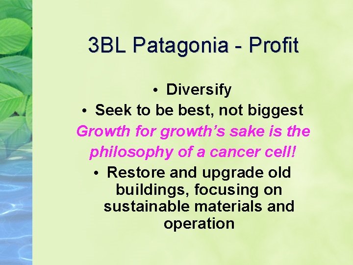3 BL Patagonia - Profit • Diversify • Seek to be best, not biggest