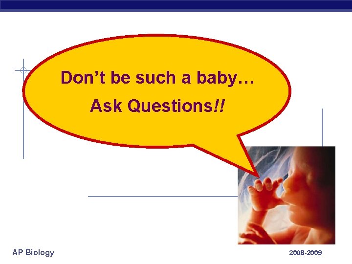 Don’t be such a baby… Ask Questions!! AP Biology 2008 -2009 