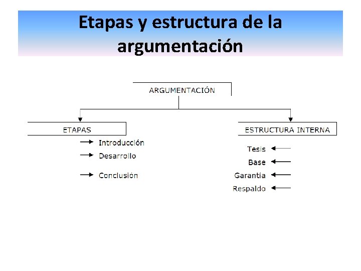 Etapas y estructura de la argumentación 