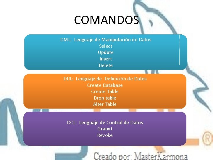 COMANDOS DML: Lenguaje de Manipulación de Datos Select Update Insert Delete DDL: Lenguaje de