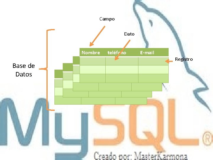 Campo Dato Nombre Base de Datos teléfono E-mail Registro 