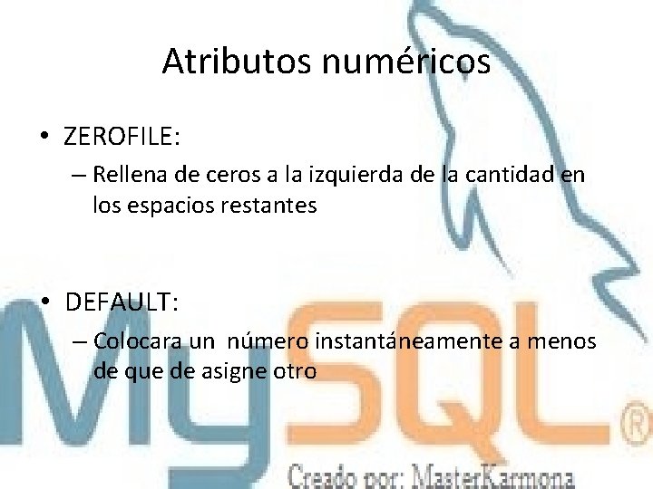 Atributos numéricos • ZEROFILE: – Rellena de ceros a la izquierda de la cantidad