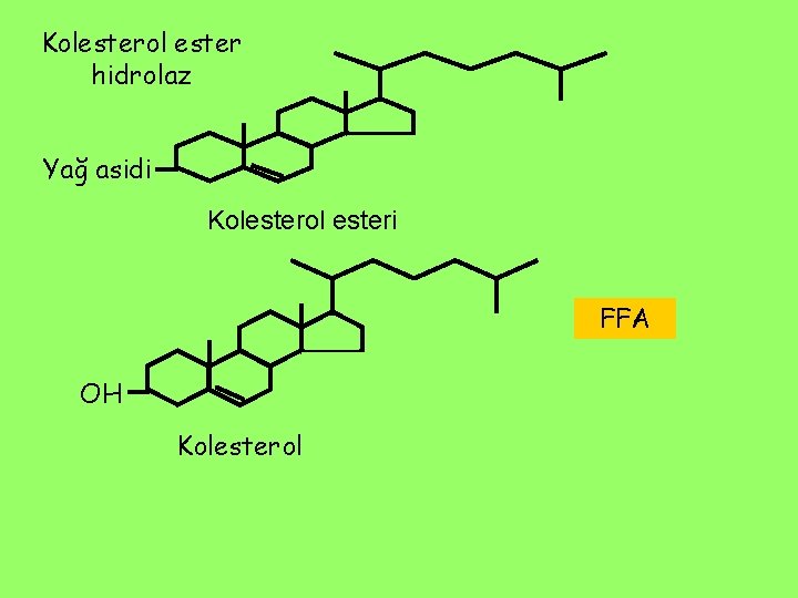 Kolesterol ester hidrolaz Yağ asidi Kolesterol esteri FFA OH Kolesterol 