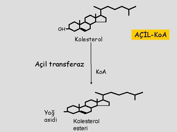 OH Kolesterol Açil transferaz Yağ asidi Ko. A Kolesterol esteri AÇİL-Ko. A 