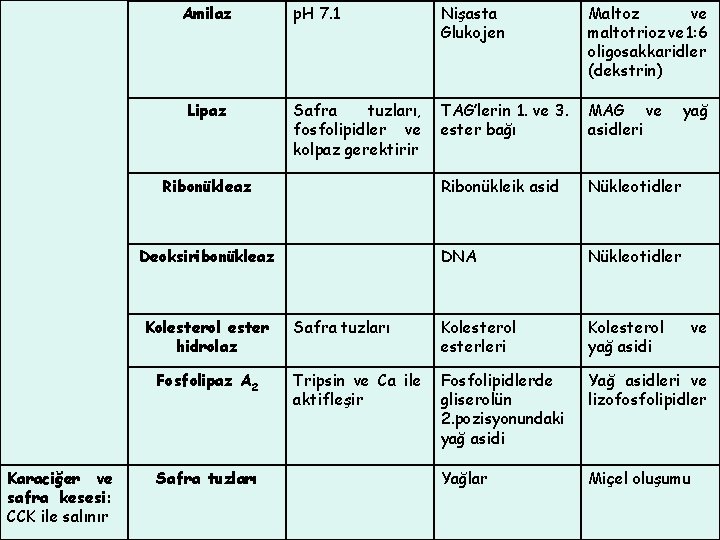 Amilaz Lipaz p. H 7. 1 Nişasta Glukojen Maltoz ve maltotrioz ve 1: 6