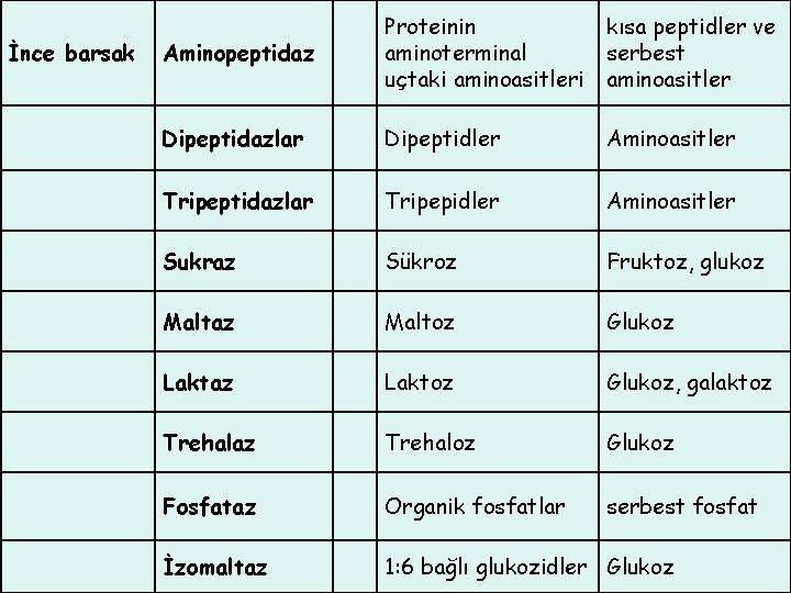 İnce barsak Aminopeptidaz Proteinin aminoterminal uçtaki aminoasitleri kısa peptidler ve serbest aminoasitler Dipeptidazlar Dipeptidler