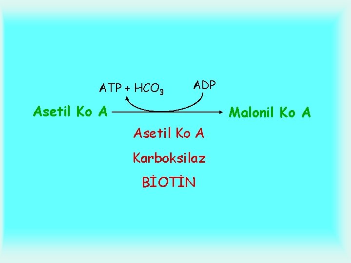 ATP + HCO 3 ADP Asetil Ko A Malonil Ko A Asetil Ko A