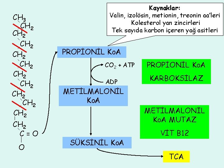 CH 3 CH 2 CH 2 CH 2 C=O O Kaynaklar: Valin, izolösin, metionin,