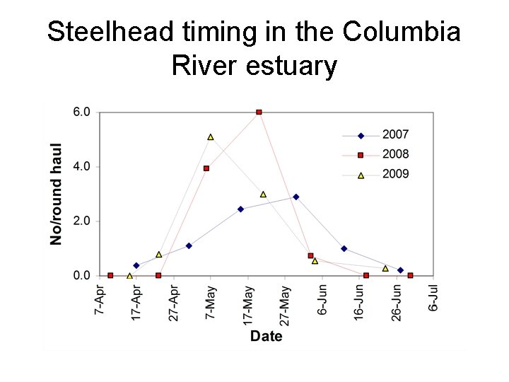 Steelhead timing in the Columbia River estuary 