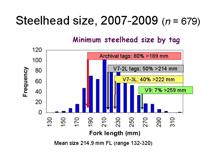 Steelhead size, 2007 -2009 (n = 679) Minimum steelhead size by tag Archival tags: