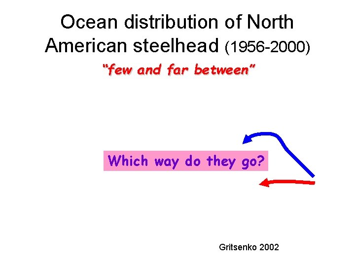 Ocean distribution of North American steelhead (1956 -2000) “few and far between” Which way
