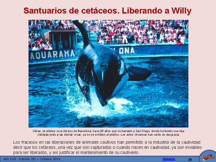 Santuarios de cetáceos. Liberando a Willy Ulises, la célebre orca del zoo de Barcelona,