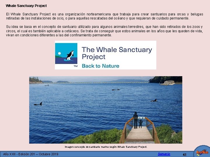 Whale Sanctuary Project El Whale Sanctuary Project es una organización norteamericana que trabaja para