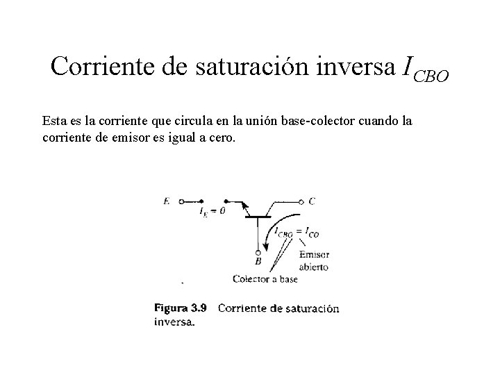 Corriente de saturación inversa ICBO Esta es la corriente que circula en la unión