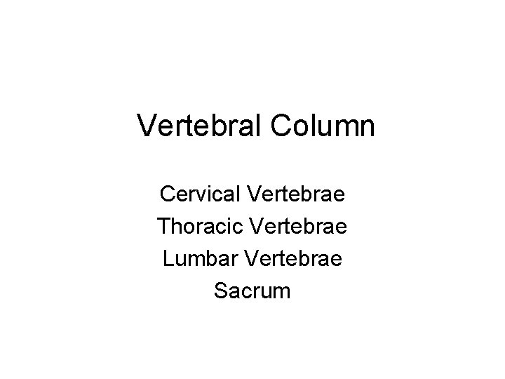 Vertebral Column Cervical Vertebrae Thoracic Vertebrae Lumbar Vertebrae Sacrum 