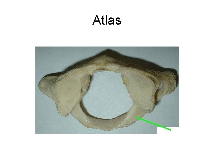 Atlas 