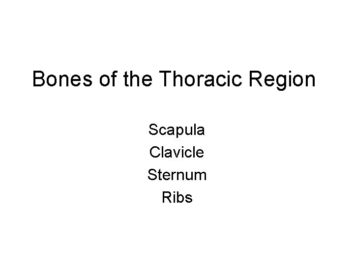 Bones of the Thoracic Region Scapula Clavicle Sternum Ribs 