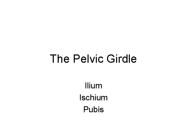 The Pelvic Girdle Ilium Ischium Pubis 