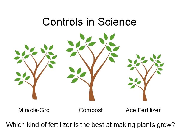 Controls in Science Miracle-Gro Compost Ace Fertilizer Which kind of fertilizer is the best