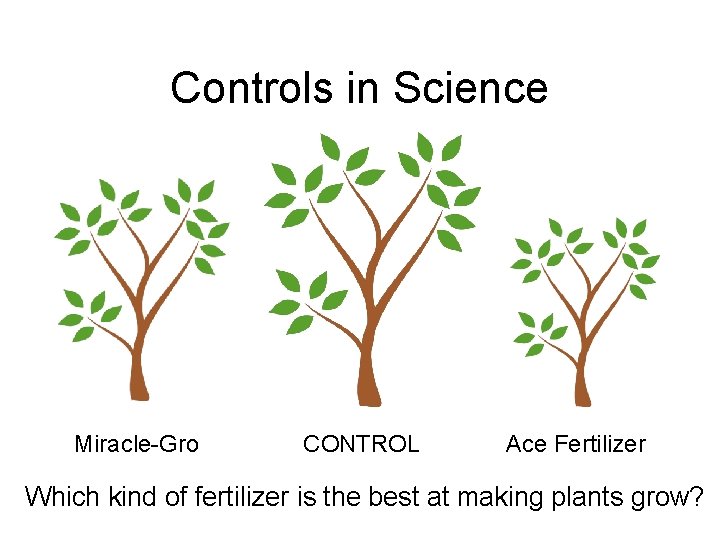 Controls in Science Miracle-Gro CONTROL Ace Fertilizer Which kind of fertilizer is the best