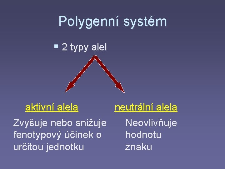 Polygenní systém § 2 typy alel aktivní alela Zvyšuje nebo snižuje fenotypový účinek o
