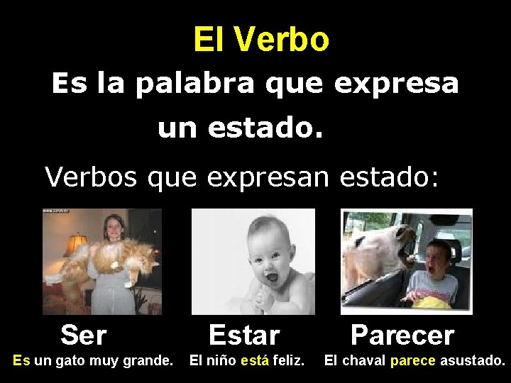 El Verbo • Es la palabra que expresa • un estado. Verbos que expresan