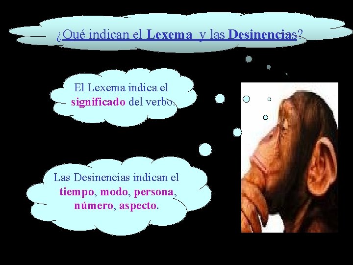 ¿Qué indican el Lexema y las Desinencias? El Lexema indica el significado del verbo.