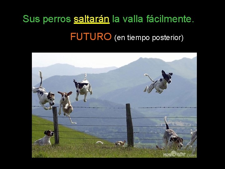 Sus perros saltarán la valla fácilmente. FUTURO (en tiempo posterior) 